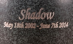 Extra Engraving On Metal Urns (4 Lines Max) Image